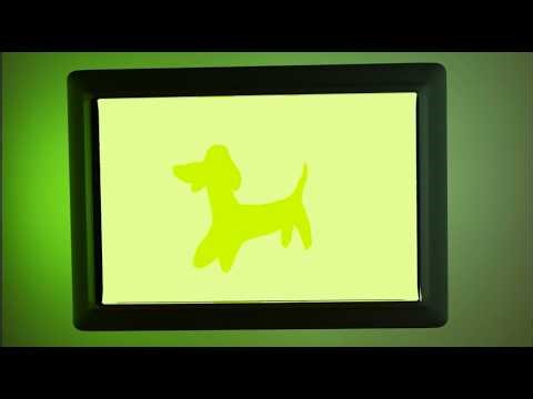 Colorful Dogs - Dream Sequence Submission🌈🎉