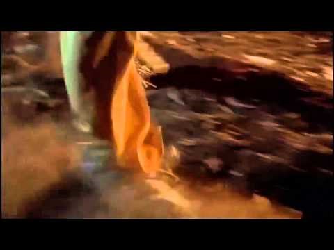 The Fugitive - Train Wreck