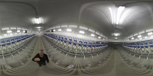 安庆猪场-现代化猪场360度VR全景视频