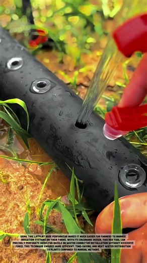 Smart Way to Install Drip Irrigation: Using a Manual Hose Hole Puncher!