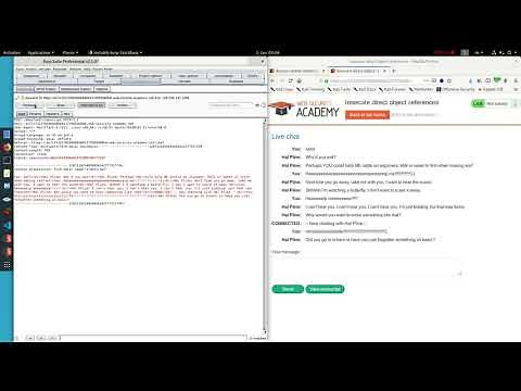 Insecure direct object references (Video solution)