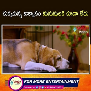 4.2M views · 105K reactions | #best telugu movie scene | Volga Videos | Facebook