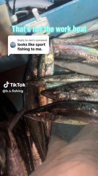 Kingfishing Adventures: The Thrill of Commercial Fishing