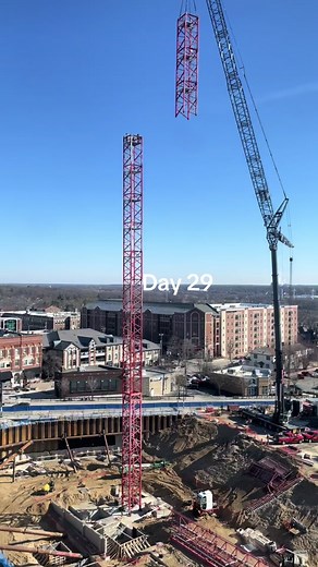 Cranes Building Cranes: A Construction Marvel