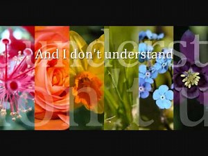 sweet surrender lyrics- sarah mclachlan remix