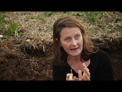 Documentaire "Tour de plaine" - Bonus : un profil de sol agricole