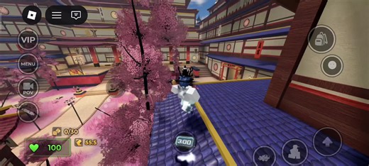 Roblox Aesthetic Avatar Ideas for Clan Rose Gold