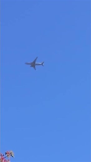 ARGENTINA AIR FORCE BOEING 737-76N en el cielo Cordobés Argentina🇦🇷 #airforce #boeing737 #cielo #sol