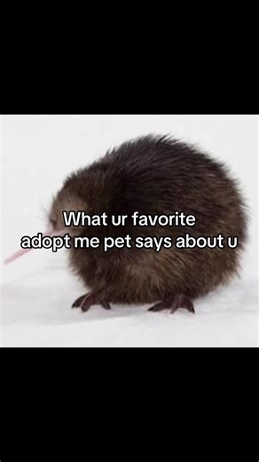 Before I get those comments, these are just my opinions if you agree that’s fine I just personally think the bat dragon is overrated:/ #adoptme