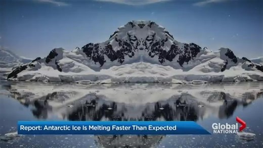 Parts of Antarctica in ‘state of collapse’ as rate of melting ice triples: study - National | Globalnews.ca