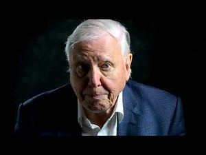 David Attenborough: A Life On Our Planet
