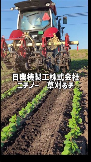 Weeding! Cleaning up the soybean field! #HokkaidoAgriculture #Tokachi #farming #tractor #Nichino ...