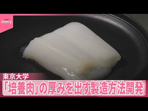 【「培養肉」】厚みを出す製造方法開発 東京大学