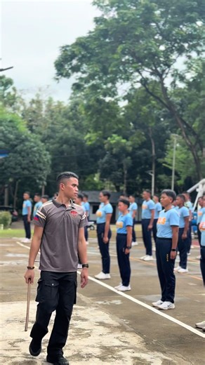 Exploring Don Quixote Sailor Song Lyrics