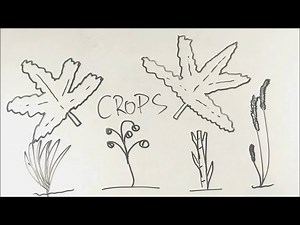 Agriculture - ep02 - BKP | class 10 geo ch 4 summary in hindi notes in english