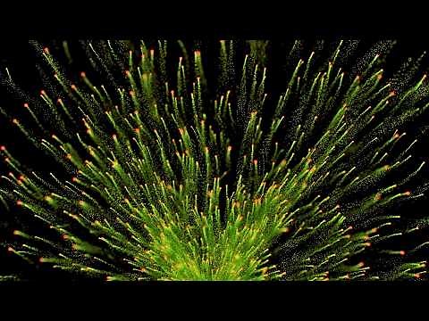 10 Hours Relaxing SLEEP Music, Super LOW [6-7 Hz] THETA Waves, Deep SUB BASS, Release Anxiety