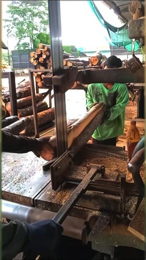 Amazing Sawmill Process||Turning Rubberwood Logs Into Usable Lumber
