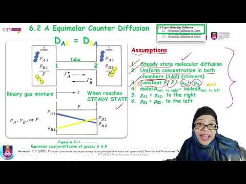 Molecular Diffusion in Gas : Equimolar Counter Diffusion