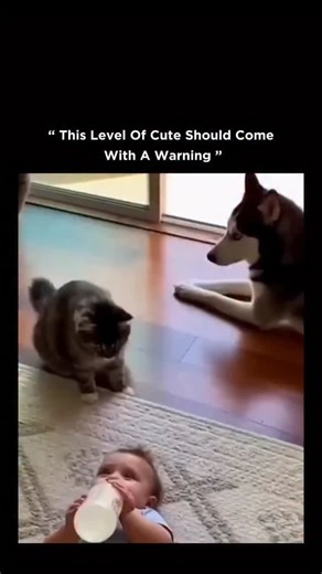 ANON9 on Instagram: "This 52-second clip shows babies and puppies facing each other and barking back and forth in perfect sync, creating a moment that instantly feels wholesome, funny, and emotionally irresistible. At first glance, it looks like a once-in-a-lifetime friendship caught on camera — the kind of content that melts people before they even question it. But the twist is that the scene is AI-generated. The reactions, timing, facial expressions, and sounds are stitched together so smoothl