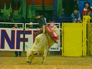 13K views · 910 reactions | Jerome Davis on Harper & Morgan Rodeo's #142 Party Time during round 3 at the 1996 National Finals Rodeo for 86 points. | All Things Roughstock | Facebook