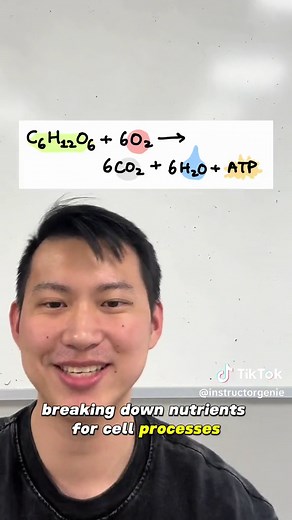 Understanding Mitochondria and Cell Processes in Biology