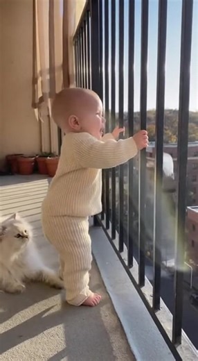 10K views · 40K reactions | Awwww both are so Cute 殺 . . . . #Sora2 #cats #viralvideoシ | Meowgic Moments | Facebook