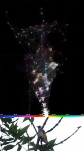 Lucio Arese on Instagram: "Ready for a full immersion in visual bird songs? If so, see link in bio, go on YouTube and thank me later 😀 This is the first version of a systematic data visualization model for birds songs and a platform to develop further work. Hope you enjoy watching it! Let me know what you think in the comments of you like. #bird #birds #visual #generative #touchdesigner #realtime #nature"