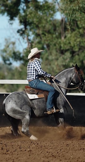Titanium Blue is no ORDINARY sire! Titanium Blue 2019 AQHA Blue Roan Stallion 14.3hh | 7 Panel N/N Ima Smooth Blue Cat x Boontown Blues www.titaniumblue.com.au titaniumblue@outlook.com Synergy Performance Horses Select Sires #EquineMarketing | #EquineVideographer | #EquinePhotographer | #CharlieKeeganCreative | Charlie Keegan Creative