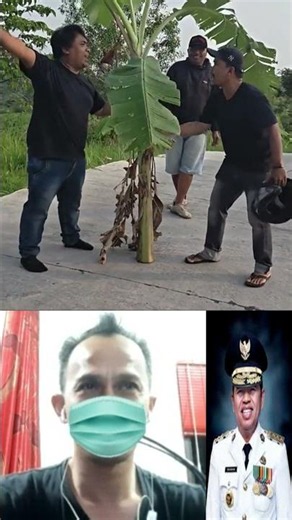Planting banana trees on the road: Central Java vs. West Java 2026