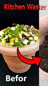 30K views · 134 reactions | How to make compost at home | Kitchen waste compost update //#highlights #short | Rana Craft | Facebook