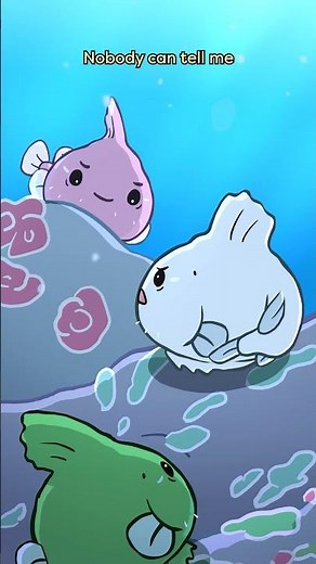 Dangouo (Dango Lumpfish) 🍡🐟 #animation #original #cartoon