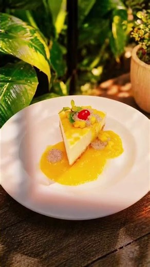 🥭✨ From farm-fresh mangoes to tropical cocktails,
