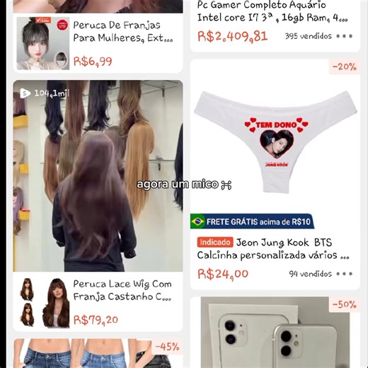 Um Mico de Site do Governo que Dá Problemas