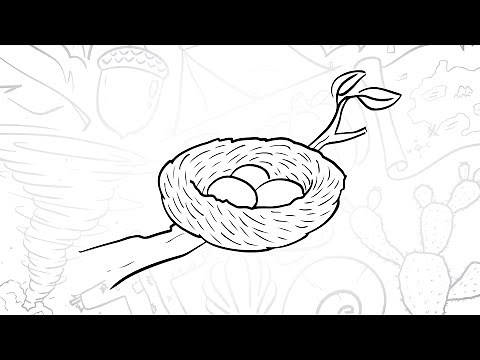🌳 How to Draw a Simple Bird’s Nest | Step-by-Step Lesson 🐣