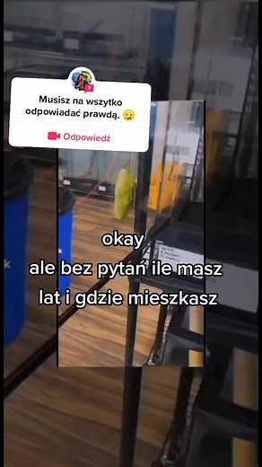 Brightly Colored Frog Care and Handling Guide