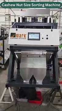 AI Intelligent Cashew Nut Size Sorting Machine | High Precision Sorting by Mark Color Sorter