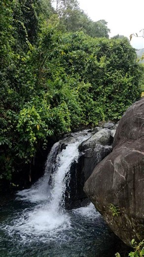 Java island💚 Tropical waterfall. | Bridgerton
