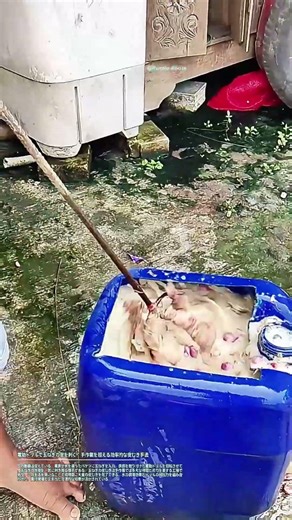 電動ドリルで玉ねぎの皮を剥く：手作業を超える効率的な皮むき手法