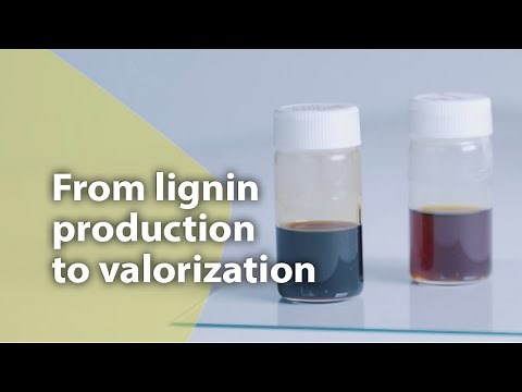 From lignin production to valorization