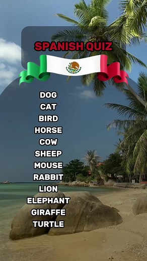 Translate 12 Words into Spanish: A Simple Guide