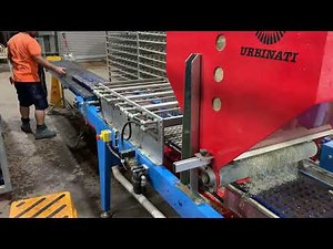 Urbinati Anthea drum seeding line