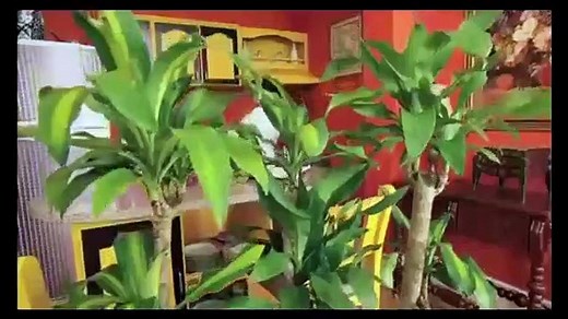 Sortilegio - Capitulo 19