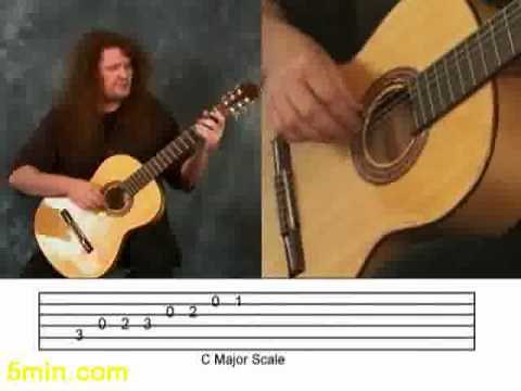 How to Play Flamenco Guitar: Picking Techniques