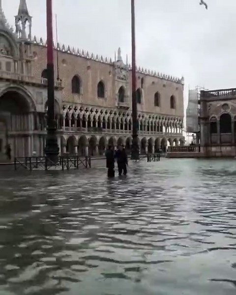 Must-See Venice Floods Reveal Amazing Urban Resilience
