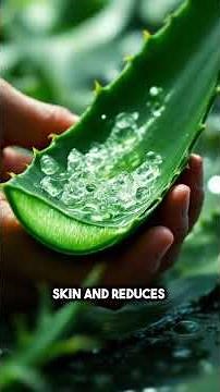 Say Goodbye to Dog's Itchy Skin with These Home Remedies!