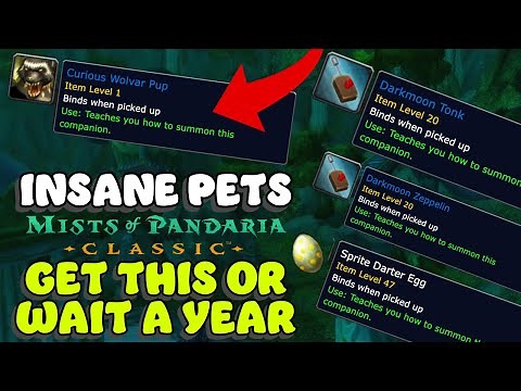 Get some of these pets NOW! Overpowered Pet Comps in MoP Classic