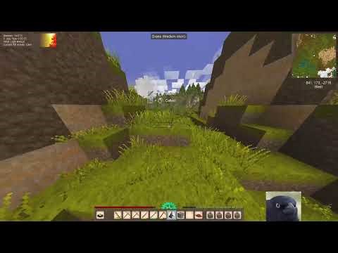 The Succ Adventure Continues