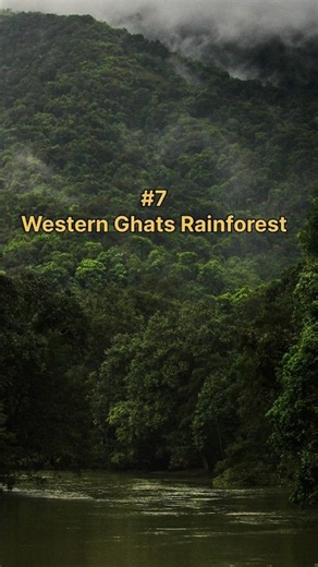 Top 10 Largest Forest In India #forest #shorts