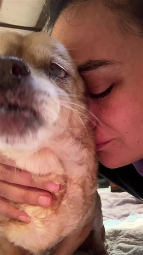 Մենակ էն մտքից, որ փակես աչքերդ ու էլ բան չտեսնես մթությունից բացի, խելագարվել կարելիա💔 Մաման քեզ կյանքում մենակ չի թողնի, ի’մ ԿՅԱ՜ՆՔ Գրաֆինիա❤️‍🩹 @Pablo&friends🐶😜❤️ @Pablo&friends🐶😜❤️ @Pablo&friends🐶😜❤️