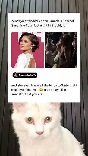 Zendaya Singing ALL the Lyrics at Ariana Concert is SO Relatable 😭